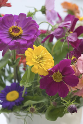 photo of flowers for office news