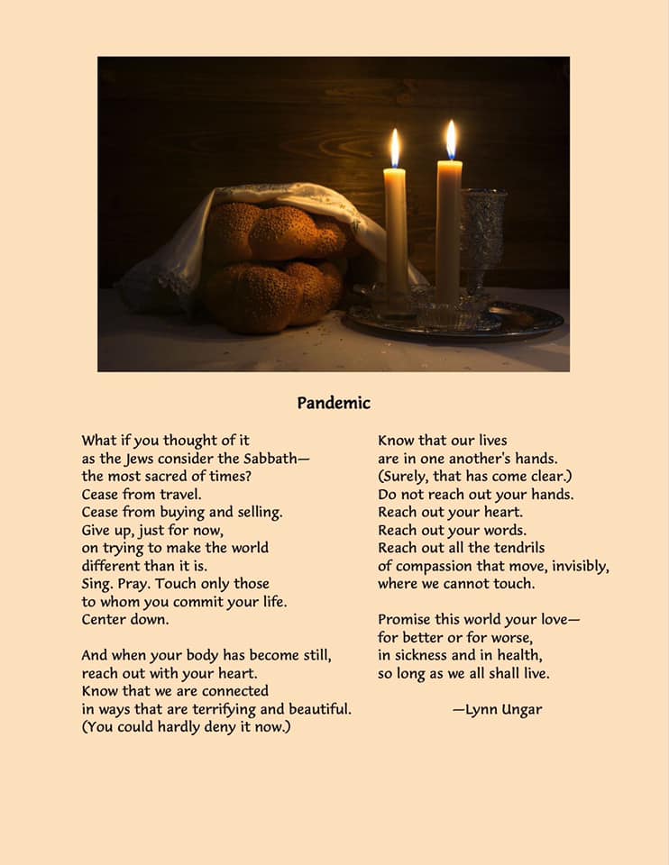 poem by Lynn Ungar titled Pandemic
