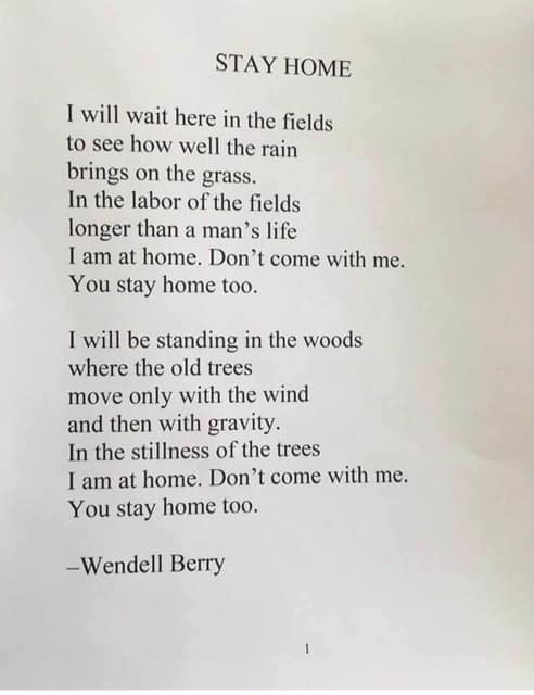 poem by wendell berry titled "Stay Home"