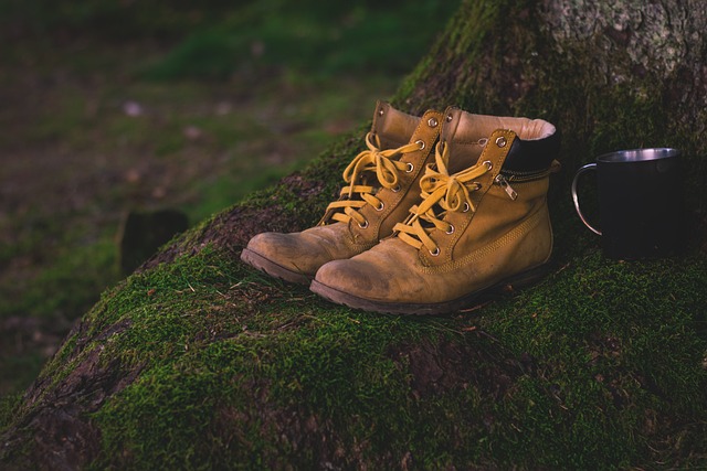 Photo of hiking boots at the base of a tree, sitting on a bed of moss. Image by LUM3N from Pixabay, 