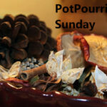 Winter Potpourri Sunday - February 4, 2024