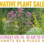 Garden-On Team News - Native Plant Sale, Saturday September 14 from 10 am - 1 pm
