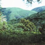 Join us for Dessert & a Documentary! Dr. Jane Goodall - Famous Last Words - Thur. Oct. 30 @ 6:30 in Fellowship Hall